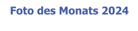 Foto des Monats 2024
