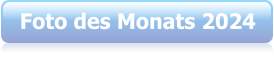 Foto des Monats 2024