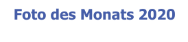 Foto des Monats 2020