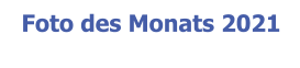Foto des Monats 2021