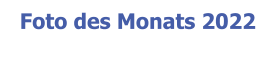 Foto des Monats 2022