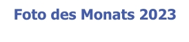 Foto des Monats 2023