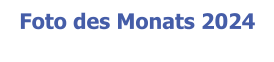 Foto des Monats 2024