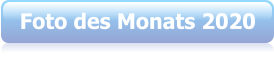 Foto des Monats 2020