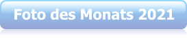 Foto des Monats 2021