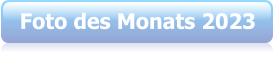 Foto des Monats 2023