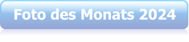 Foto des Monats 2024